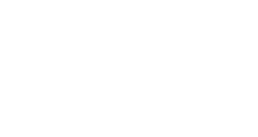 PhoneNest